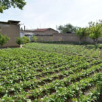 Kambag'allar yo'q emas, lekin…