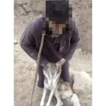 Тарозининг икки палласи