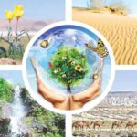 “Yashil” taqdirlar tutashgan nuqta: Iqlim inqiroziga qarshi mintaqaviy hamjihatlik