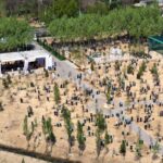 Yaxshidan bog' qoladi