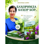 Ижодкорнинг бедор ўйлари